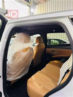 بي واي دي سونغ L DM-i